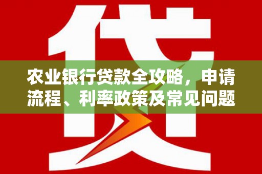 顺义农业银行贷款全攻略，申请流程、利率政策及常见问题解析