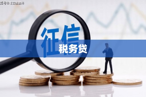 顺义税务贷