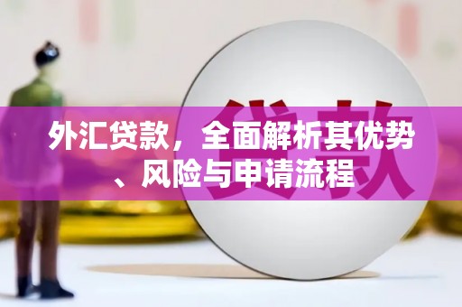 顺义外汇贷款，全面解析其优势、风险与申请流程