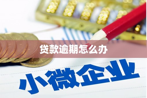 顺义贷款逾期怎么办