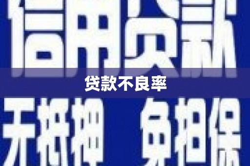 顺义贷款不良率