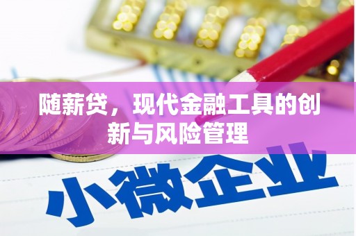 顺义随薪贷，现代金融工具的创新与风险管理