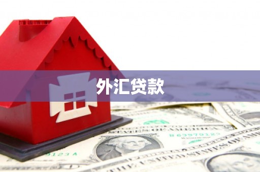 顺义外汇贷款
