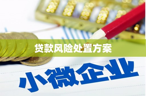 顺义贷款风险处置方案