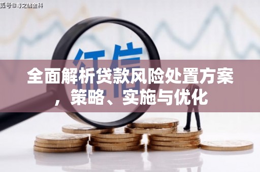 顺义全面解析贷款风险处置方案，策略、实施与优化