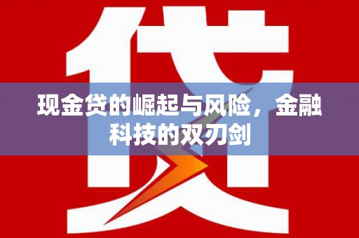 顺义现金贷的崛起与风险，金融科技的双刃剑