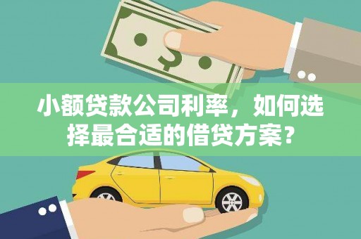 顺义小额贷款公司利率，如何选择最合适的借贷方案？