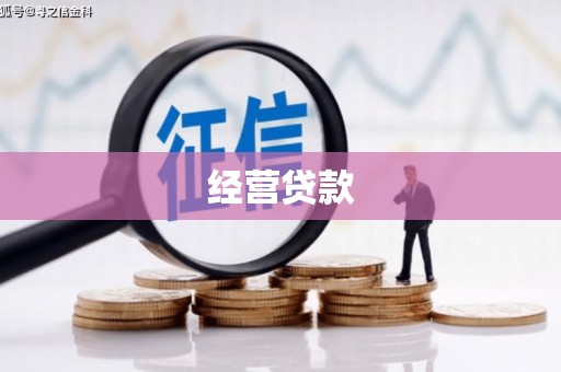 顺义经营贷款