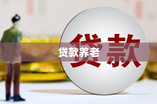 顺义贷款养老