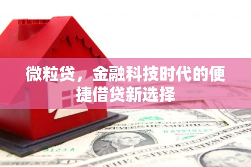 顺义微粒贷，金融科技时代的便捷借贷新选择