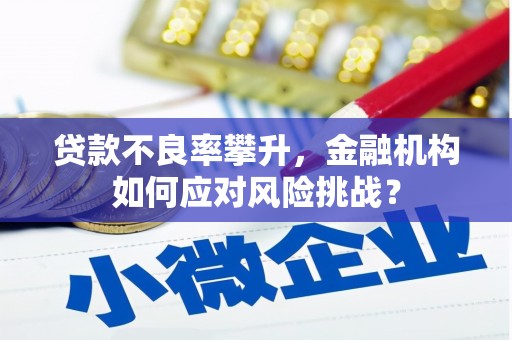 顺义贷款不良率攀升，金融机构如何应对风险挑战？