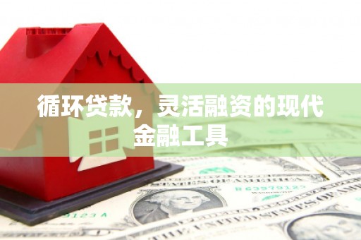 顺义循环贷款，灵活融资的现代金融工具