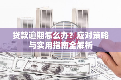 顺义贷款逾期怎么办？应对策略与实用指南全解析