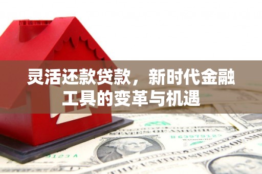 顺义灵活还款贷款，新时代金融工具的变革与机遇